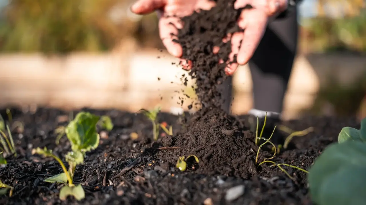 Spring Soil Amendments: What to Add to the Field in March