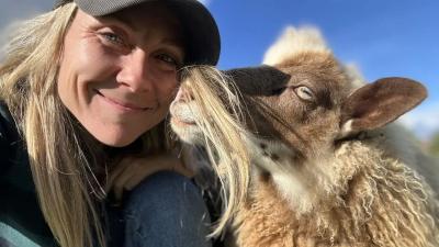 On a Maine Farm, Regeneration Starts With the Sheep